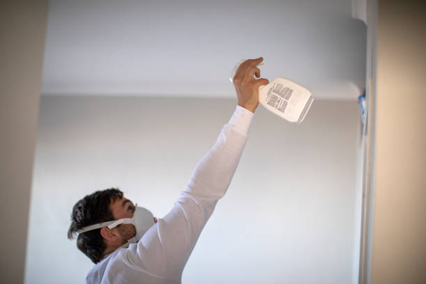 Best Residential Mold Remediation in Riverdale Park, MD